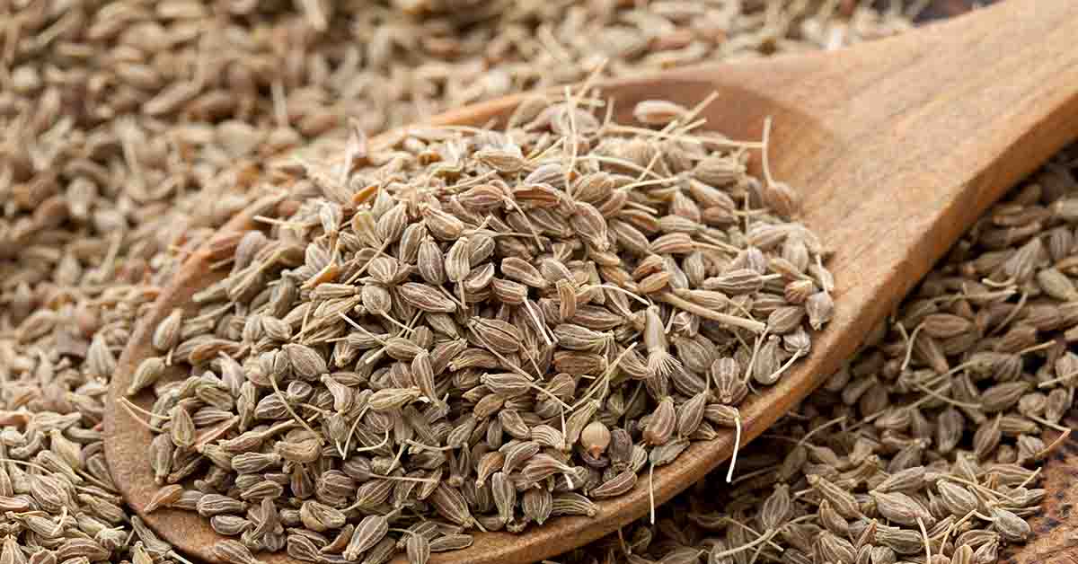 Anason ( Pimpinella anisum ) descriere, utilizare si proprietati