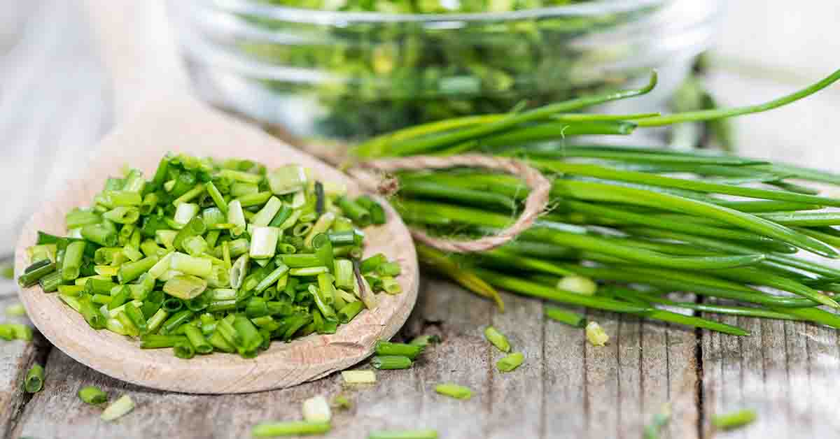 Arpagic ( Allium schoenoprasum ) descriere, utilizare si proprietati