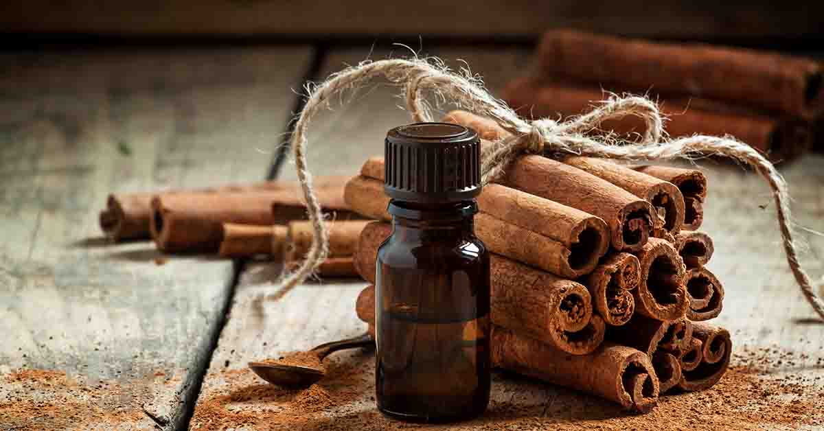 Cassia ( Cinnamomum cassia ) descriere, utilizare si proprietati