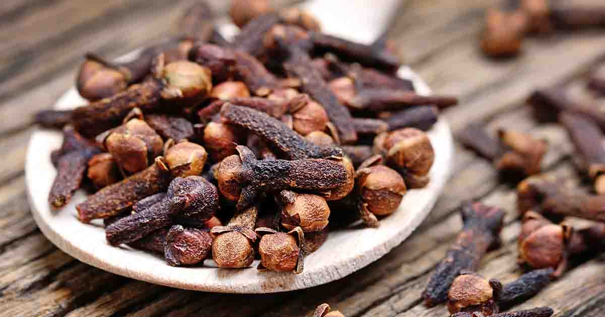 Cuișoare ( Syzygium aromaticum ) descriere, utilizare si proprietati