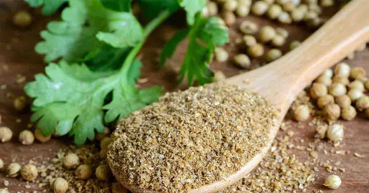 Coriandru ( Coriandrum sativum ) descriere, utilizare si proprietati