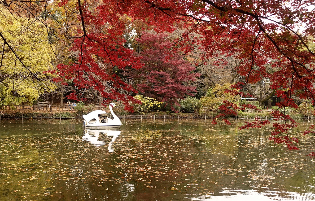 Tokyo - O călătorie fascinantă în inima Japoniei