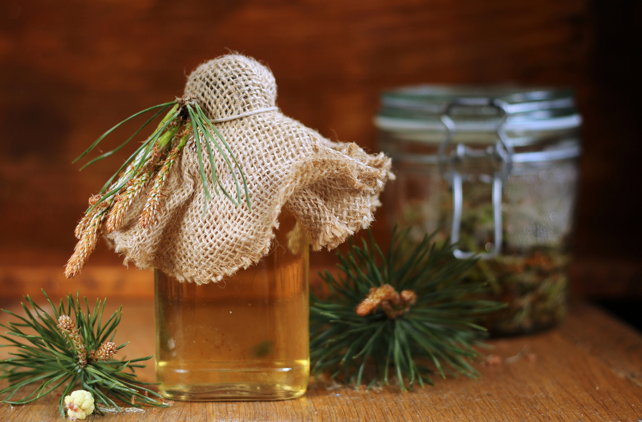 sucul de muguri de pin preparare si beneficii