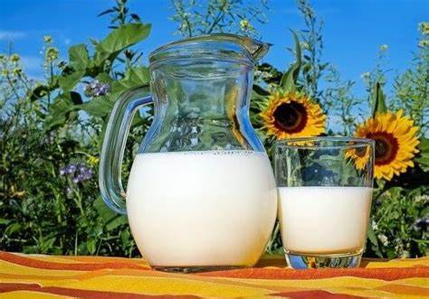 laptele sursa de vitamine