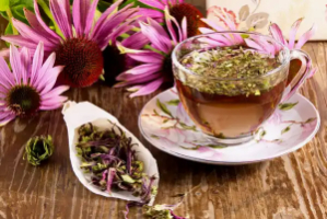 echinaceea si raceala