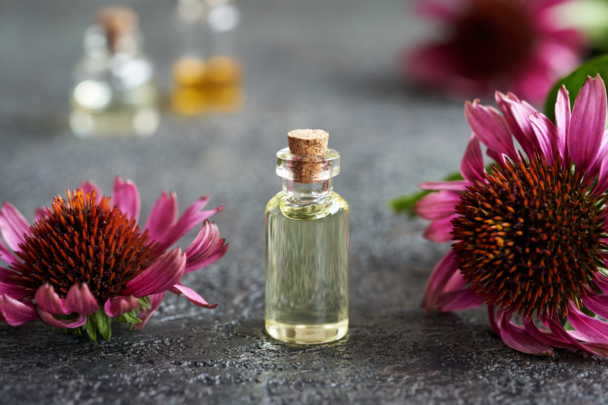 ulei de echinaceea