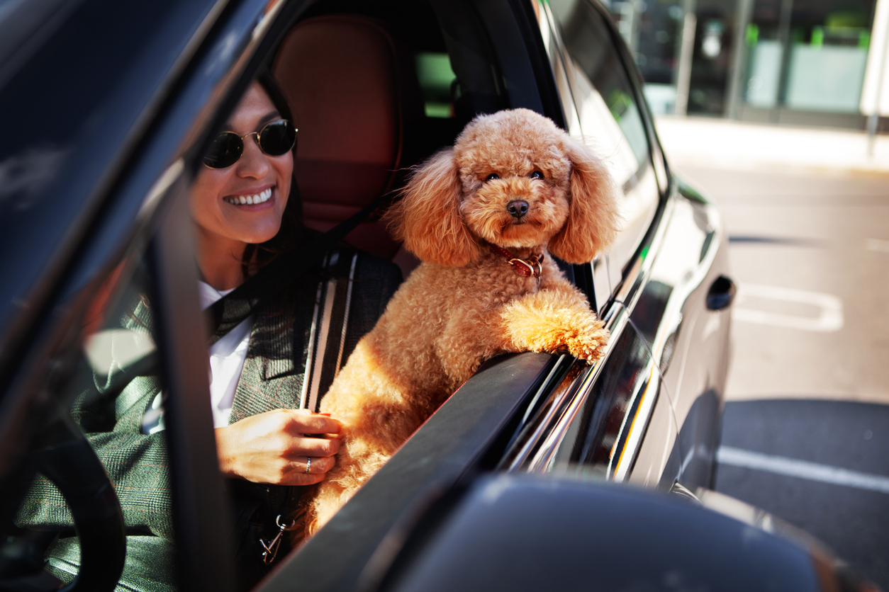 Femeie și câine cu capul pe geamul mașinii.