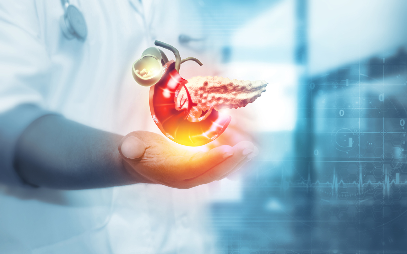 Doctorul arată pancreasul uman pe fundal încețoșat...