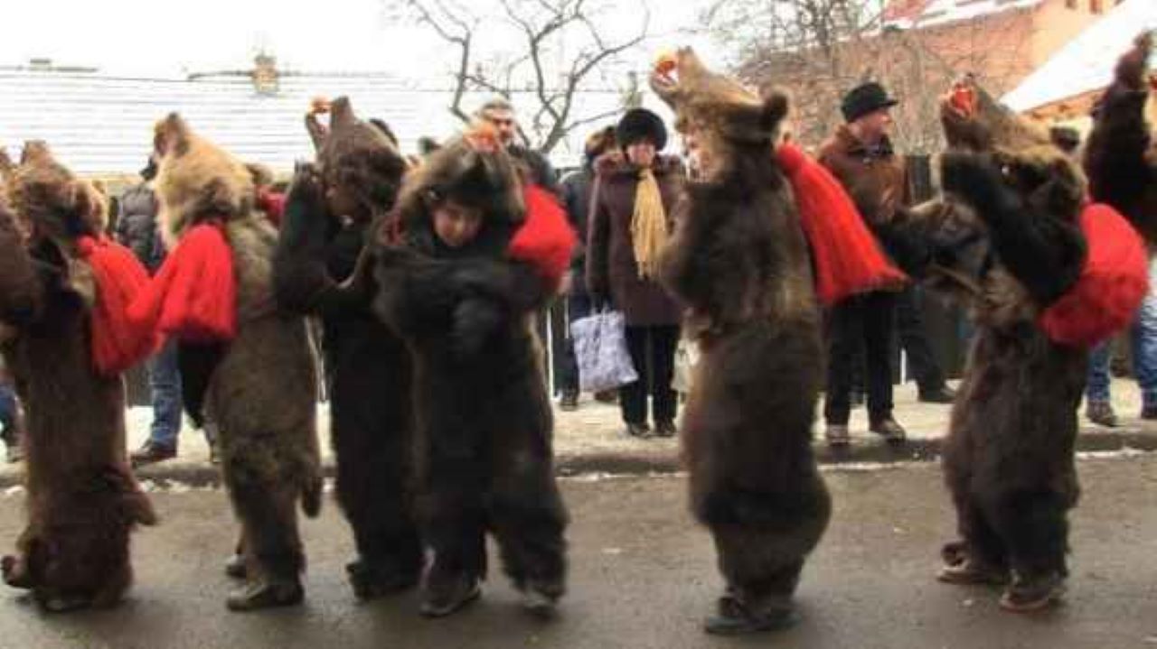 colindatul cu ursul. Barbati consumati in ursi