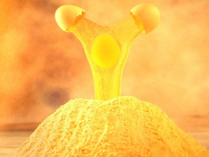 galbenus de ou pudra