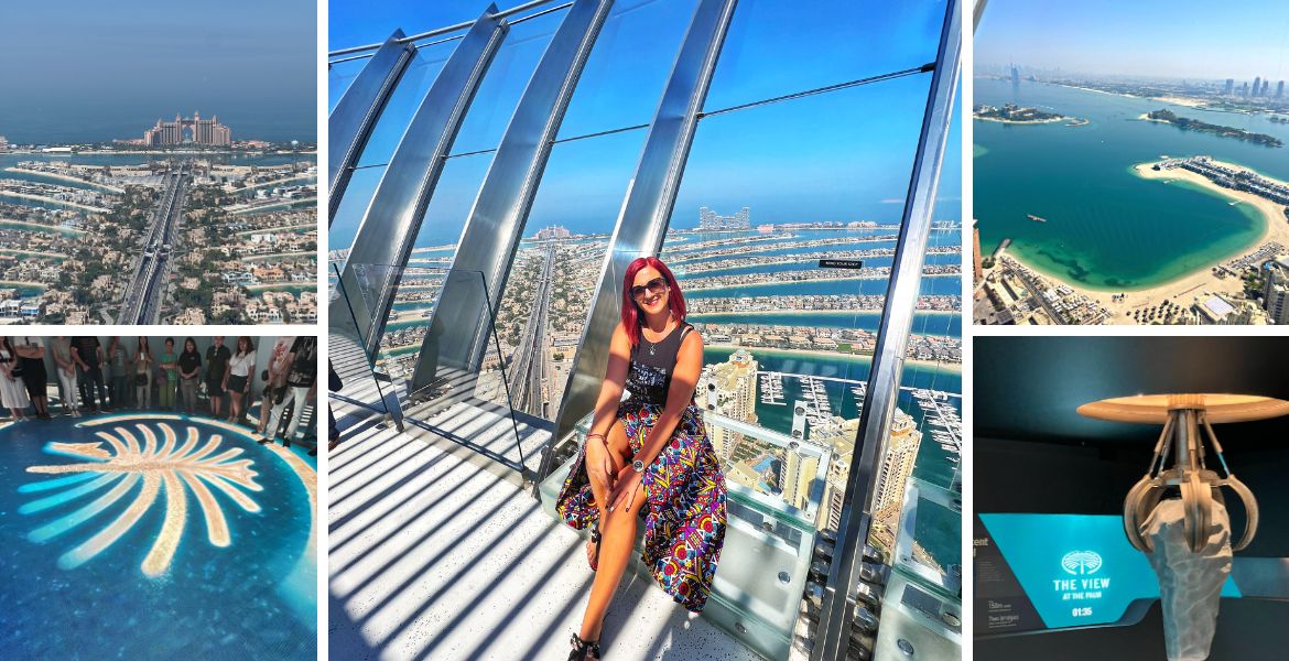 view de la panorama de la the palm