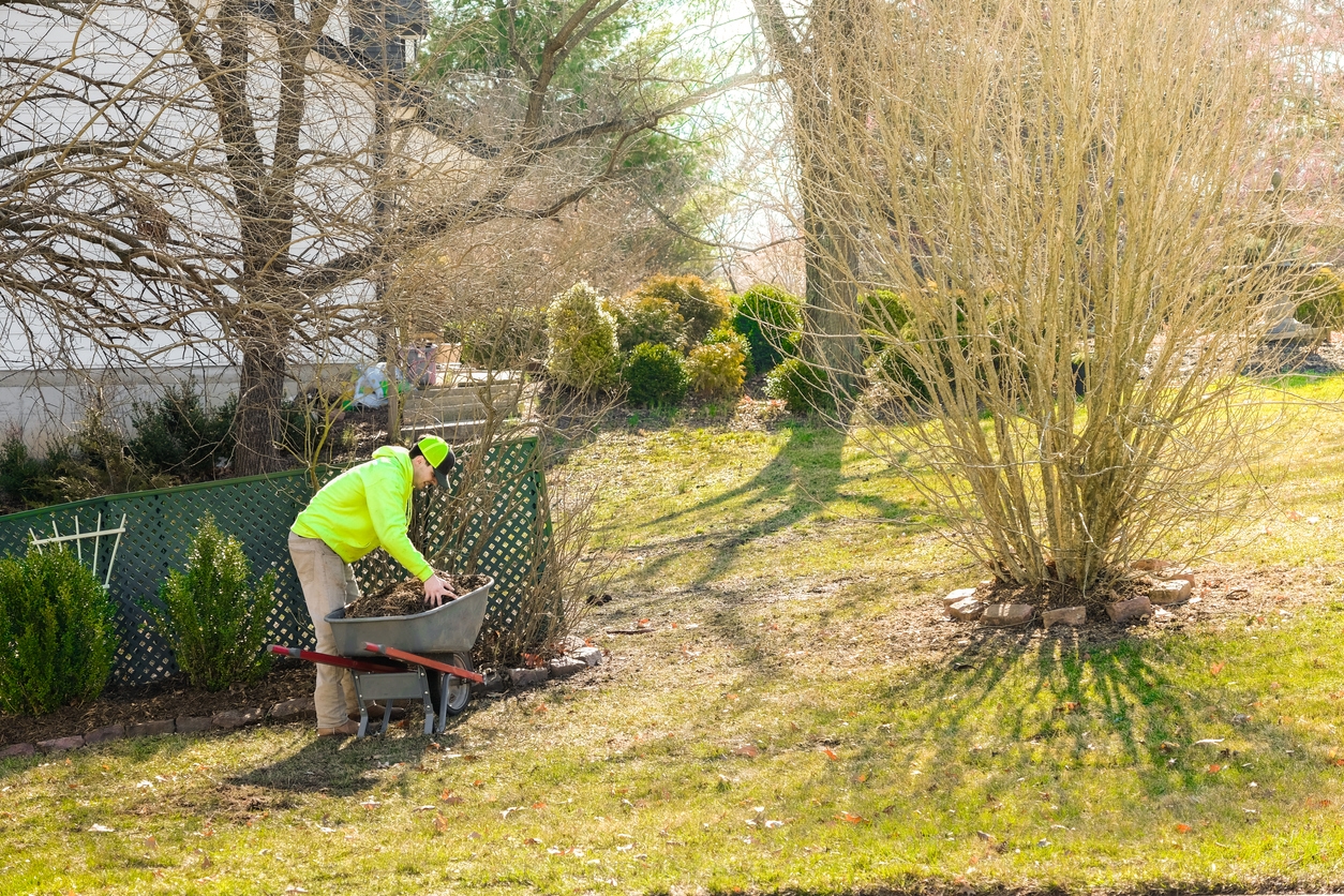 barbat care pregateste gradina pentru primavara