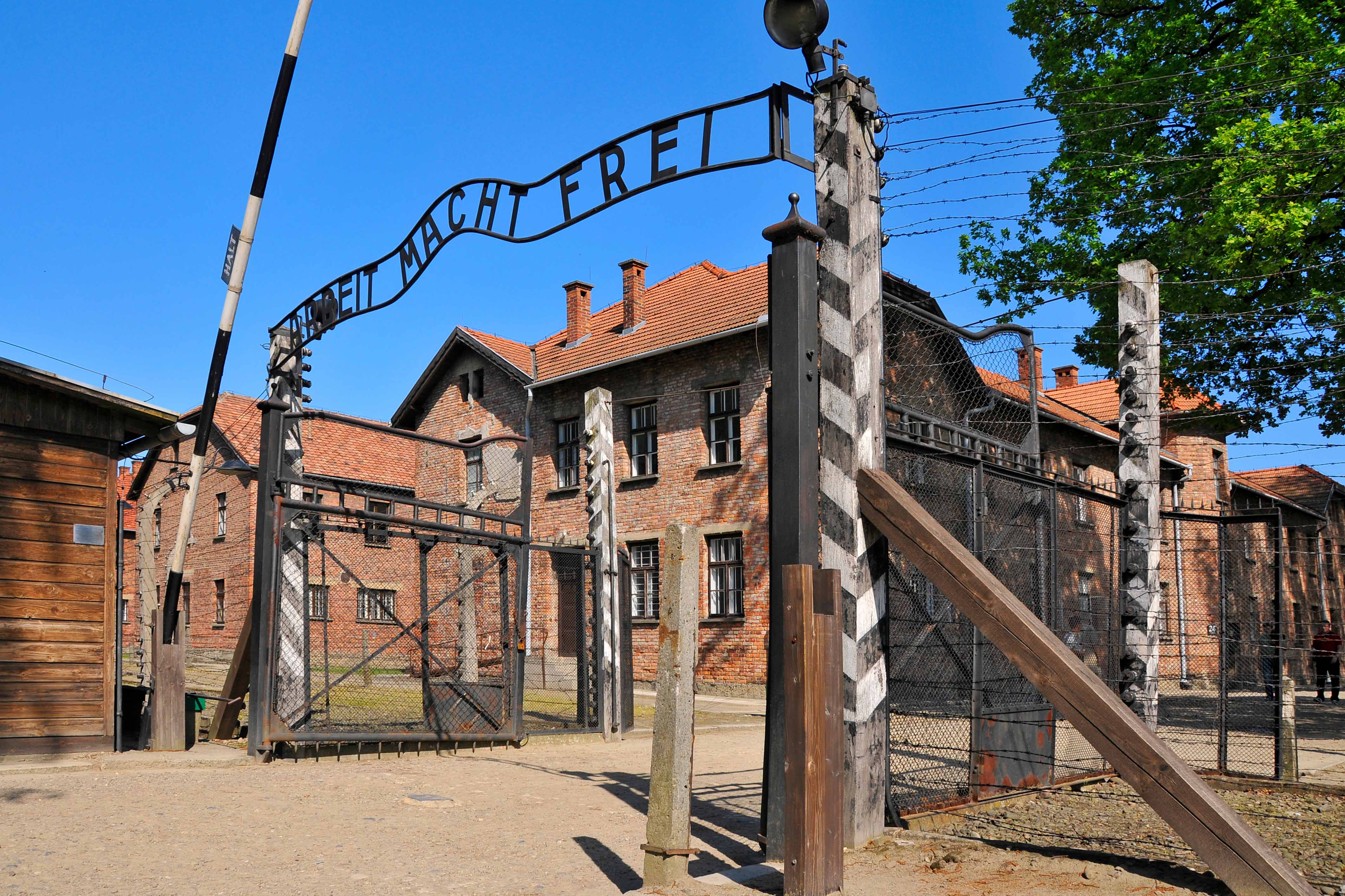 imagine de la lagarul auschwitz-birkenau-