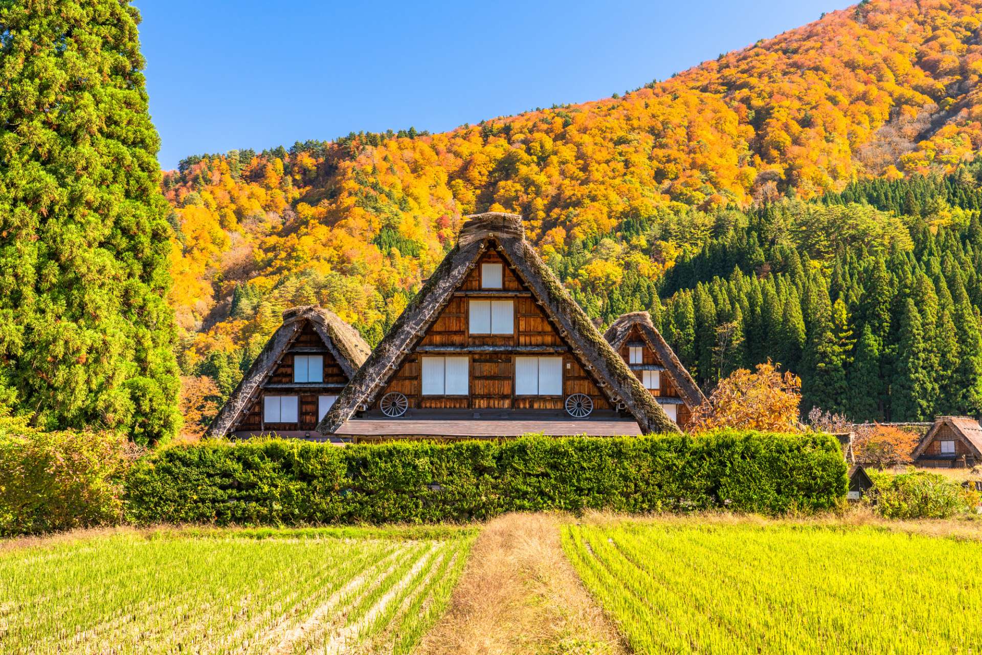 case in stil japonez