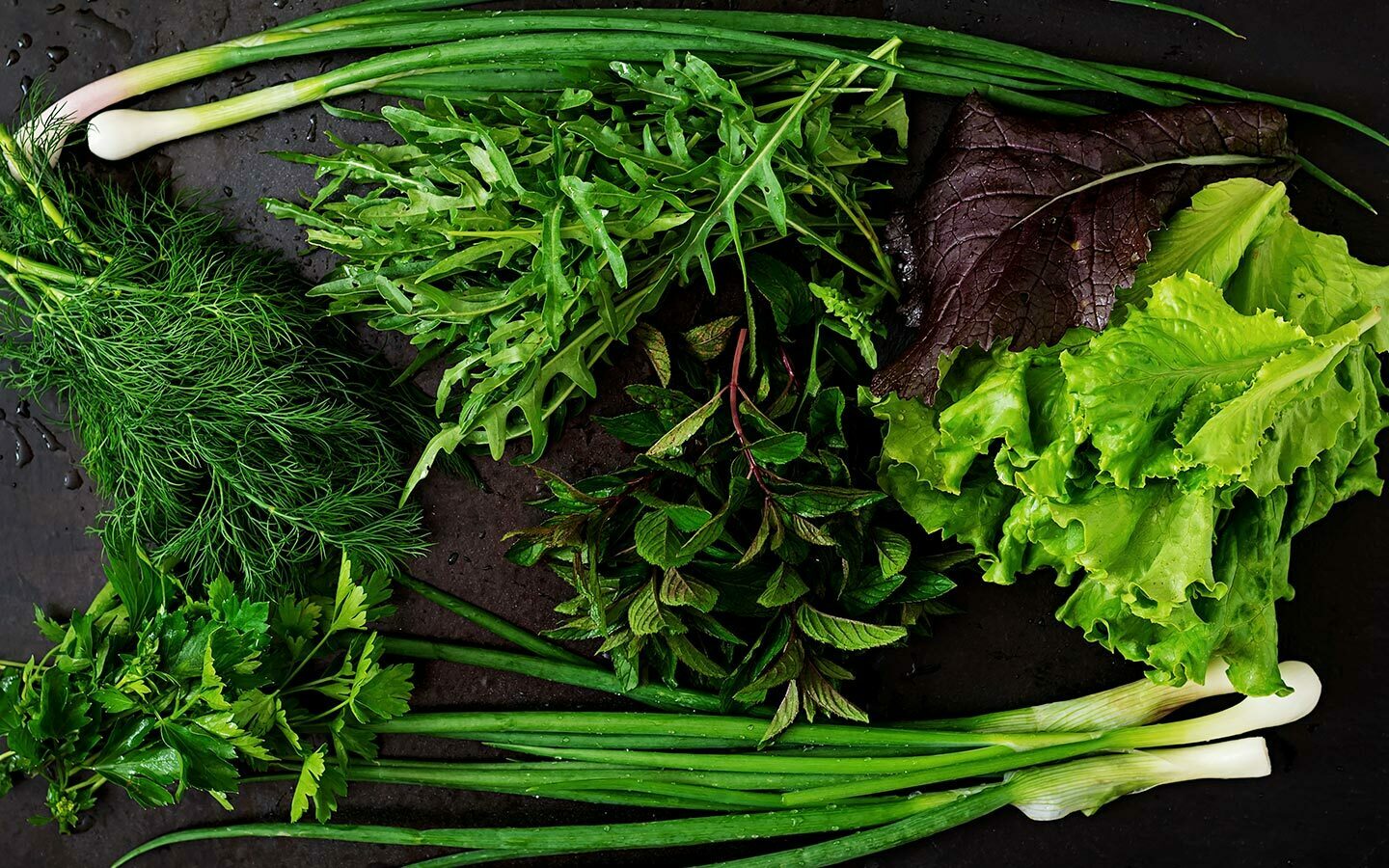 Verdetur de primavara