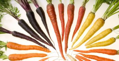 morcovul sursa naturala de vitamina A