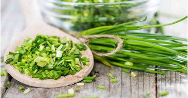 Arpagic ( Allium schoenoprasum ) descriere, utilizare si proprietati