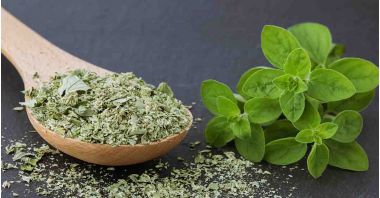 maghiranul are numeroase proprietăți benefice pentru sănătate, fiind folosit pentru proprietățile sale antioxidante, antiinflamatoare, antimicrobiene, sedative și digestive.