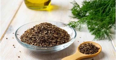 Mărar ( Anethum graveolens ) descriere, utilizare si proprietati