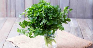 Patrunjel ( Petroselinum crispum ) descriere, utilizare si proprietati