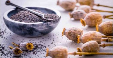 Seminte de mac ( Papaver somniferum ) descriere, utilizare si proprietati