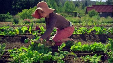 femeia care munceste in gradina ei organica