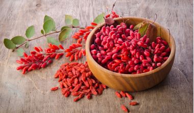 fructe proaspete si uscate de goji