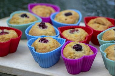 briose in forma de silicon