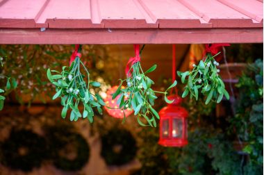 crengute de vasc agatate la stresina caselor