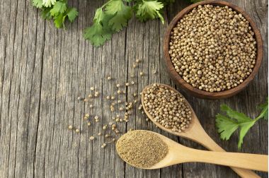 Semințe de coriandru și pulbere în lingură de lemn cu frunze proaspete de coriandru pe masă de lemn,