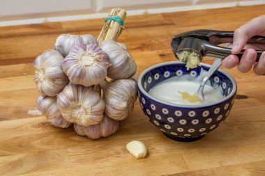 capatani de usturoi si bol cu usturoi presat