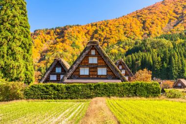 case in stil japonez