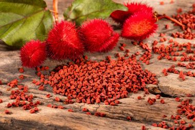 Seminte de Achiote (Anatto)