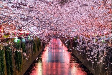 cea Mai Buna Perioada din An sa Vizitezi Japonia