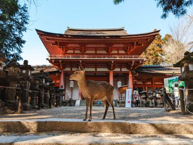Nara Japonia